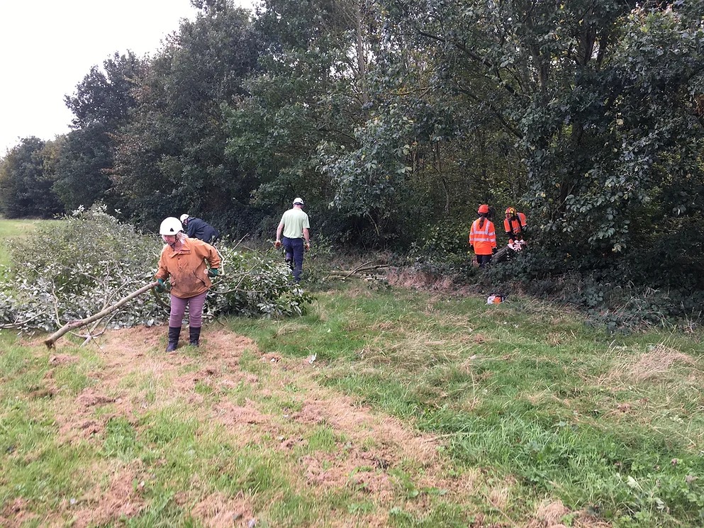 Greening Wymondham: Volunteer Workday – Ketts Park Woodland, 5th December