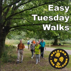 Dereham Walkers Are Welcome – Easy Tuesday Walk, 11th June