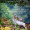 Summer Exhibition: Wymondham Photographic Society – Tiffey Room, Central Hall, 15th & 16th August
